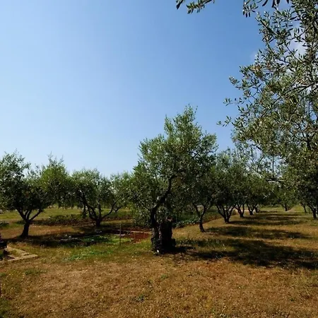 Fuer 4 Personen Ca 75 M In Novigrad, Adriakueste Kroatien Westkueste Von Istrien * Novigrad (Istria)